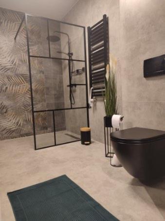 Apartmán Trzy Kolory Bílsko-Bělá Exteriér fotografie